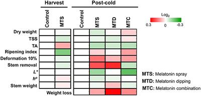 Pre- and Post-harvest Melatonin Application Boosted Phenolic Compounds Accumulation and Altered Respiratory Characters in Sweet Cherry Fruit